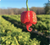 Karma Sauce Company LLC